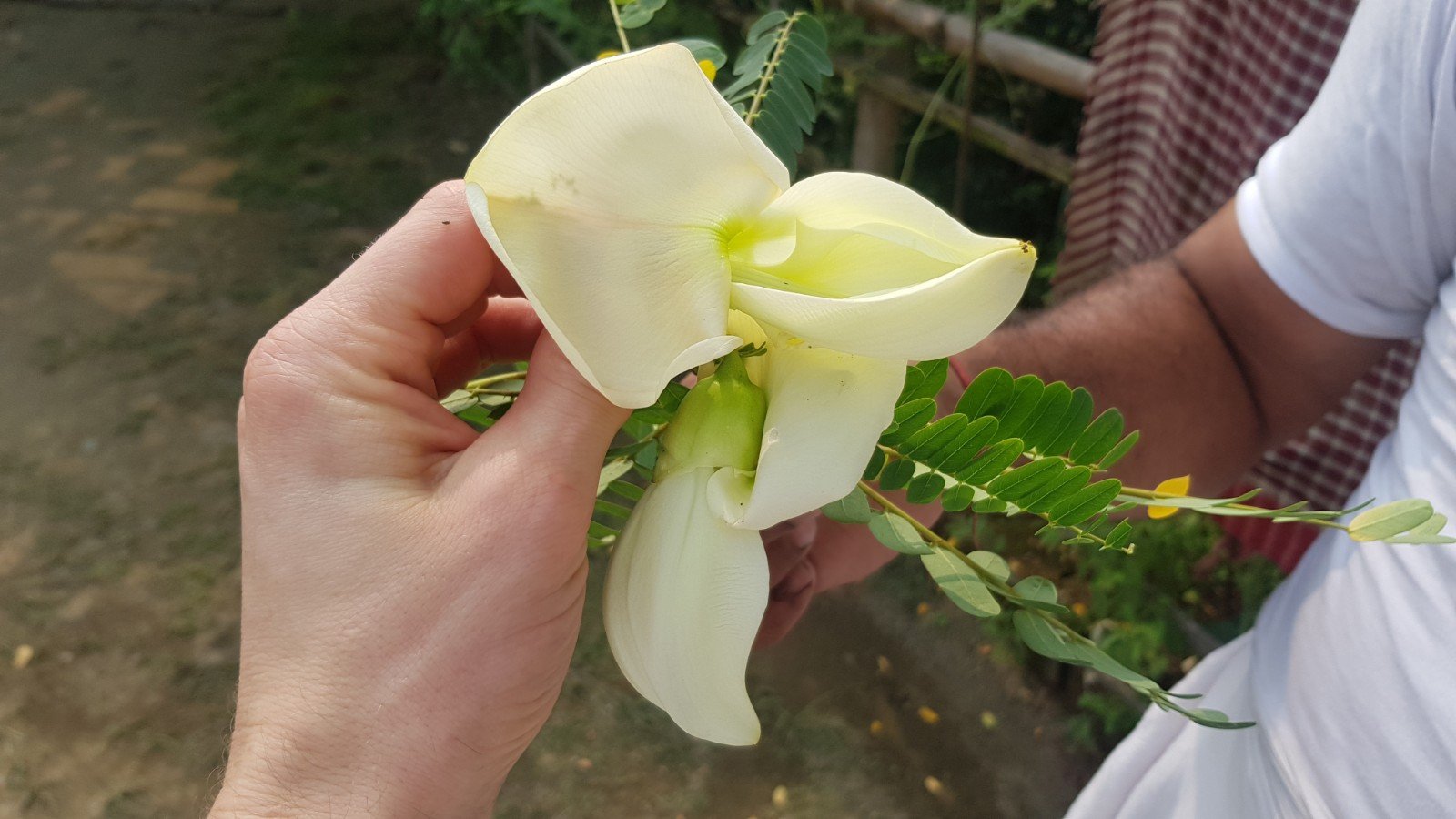  Visiting devotees. Asansol. 2019.11.24